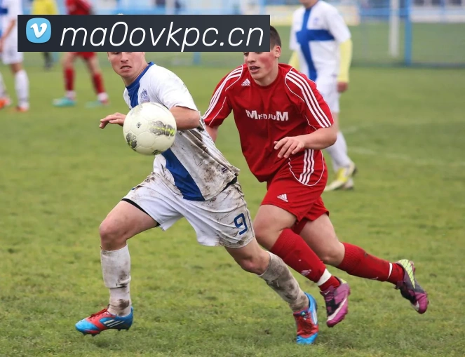 mk体育娱乐官网发展历程